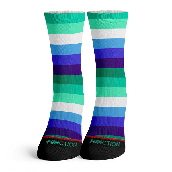 Function - Colorful LGBTQ+ Gay Pride Rainbow Socks