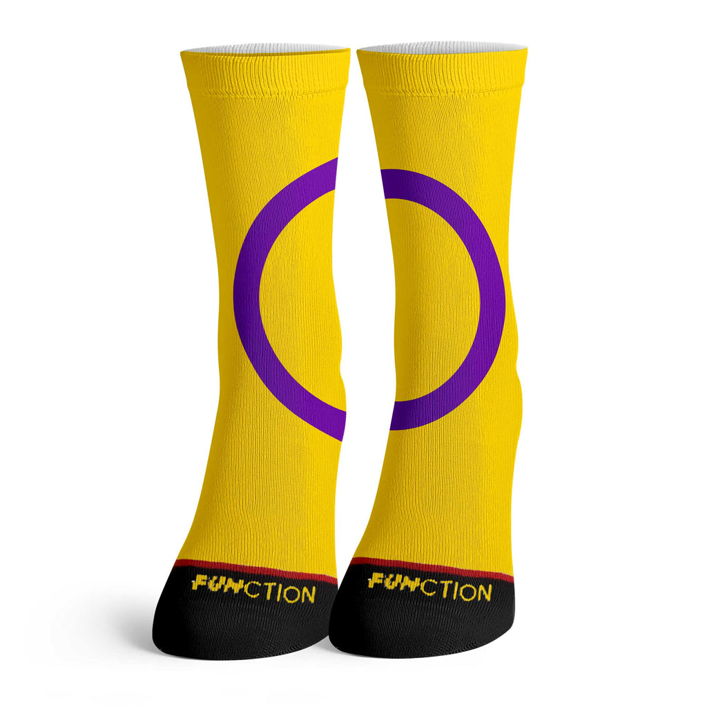 Function - Colorful LGBTQ+ Intersex Pride Rainbow Socks