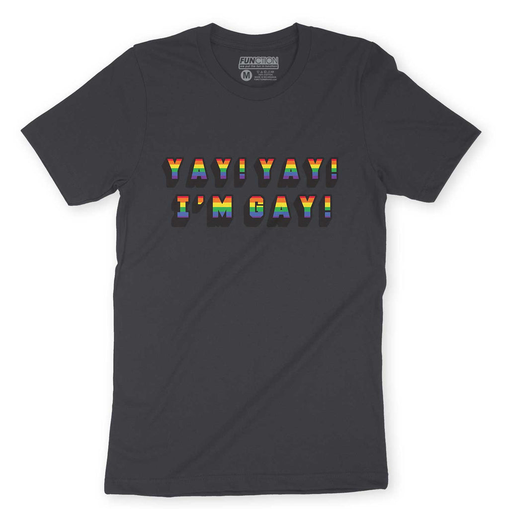 Function - Yay Yay I'm Gay Pride Rainbow Bold Statement Adult T-Shirt