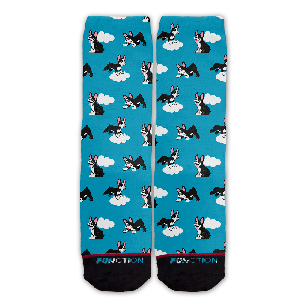 Function - Dog Breed Boston Terrier Cloud Pattern Socks Fashion Socks Teal