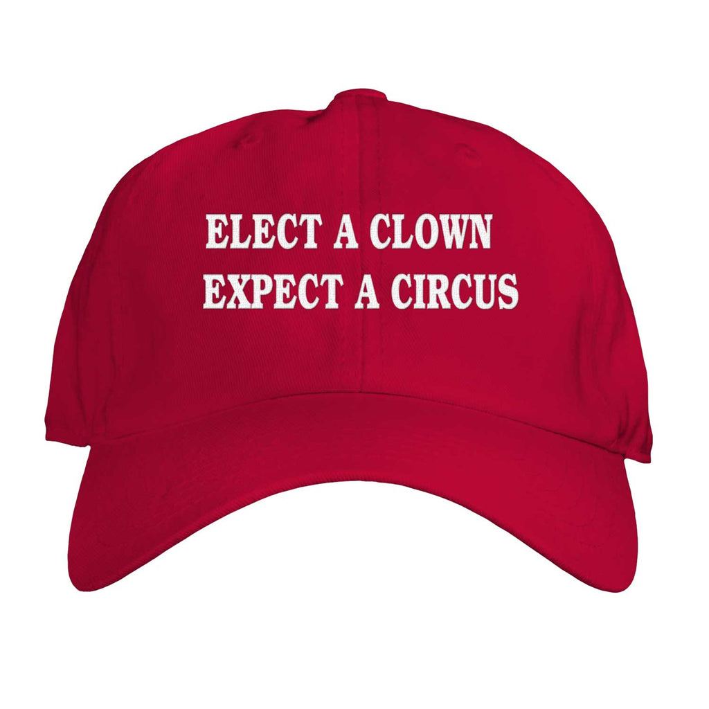 Function - Elect a Clown Expect a Circus Trump Maga Dad Hat