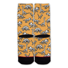 Function - Dinosaur Skeleton Pattern Orange Fashion Socks
