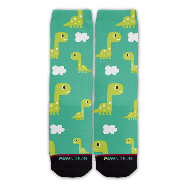 Function - Cute Dinosaur Fashion Sock