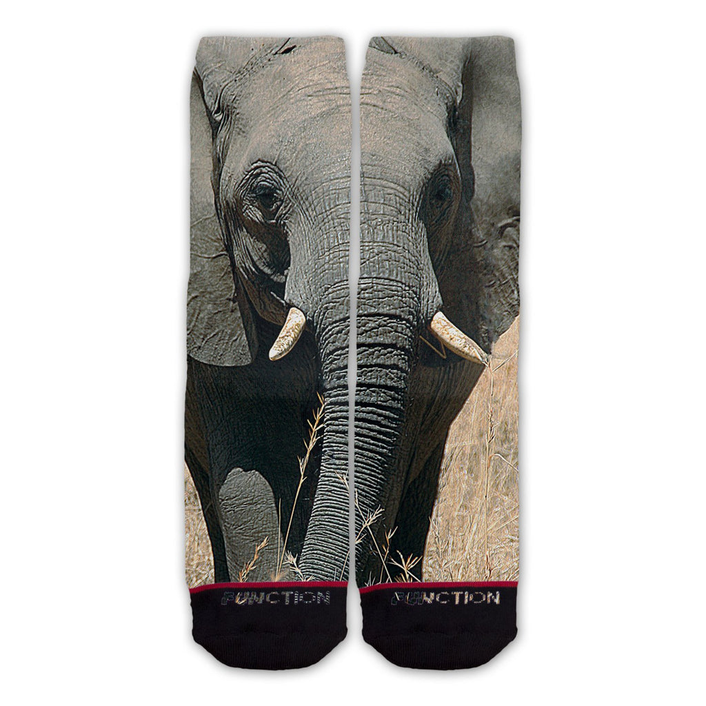 Function - Elephant Face Fashion Socks