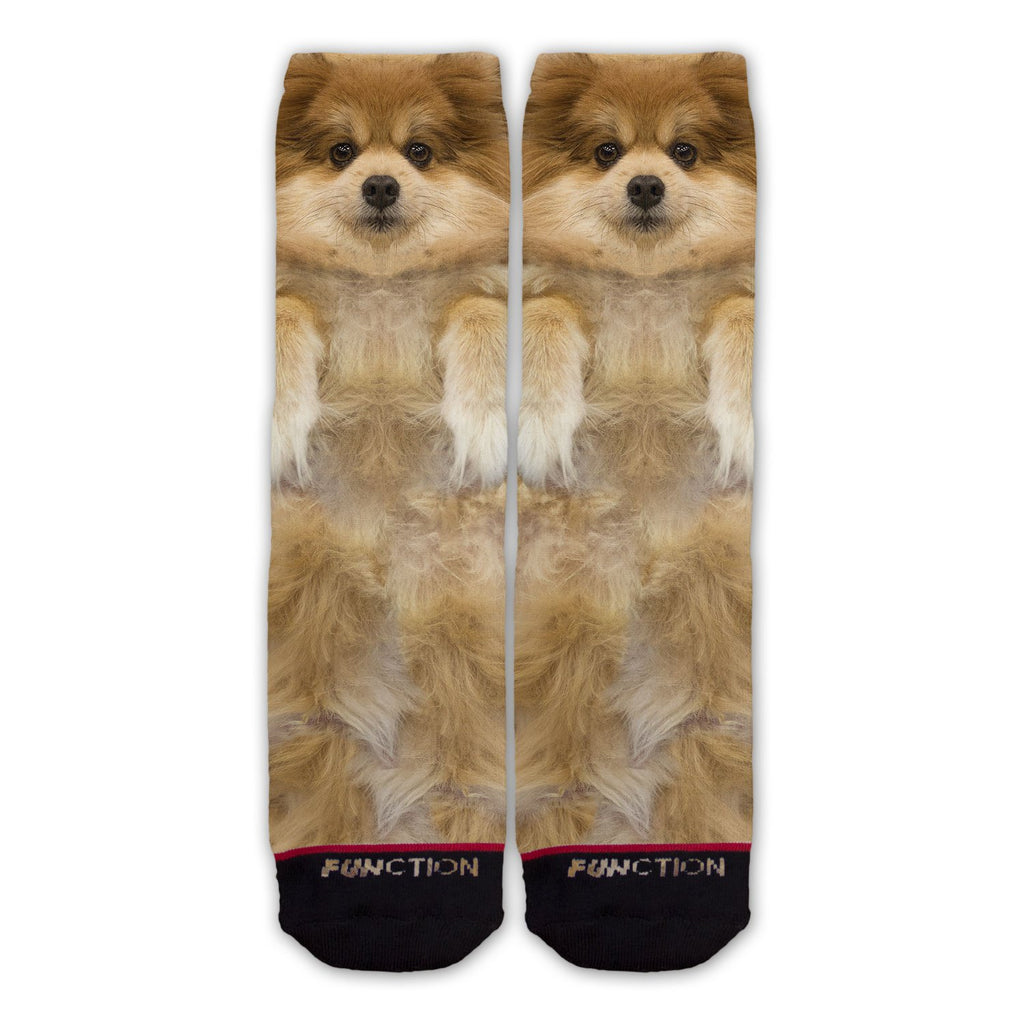 Function - Pommeranian Dog Fashion Sock
