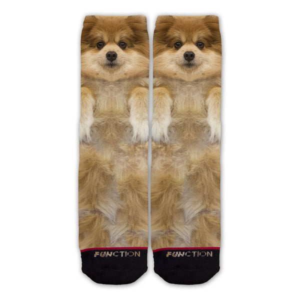 Function - Pommeranian Dog Fashion Sock