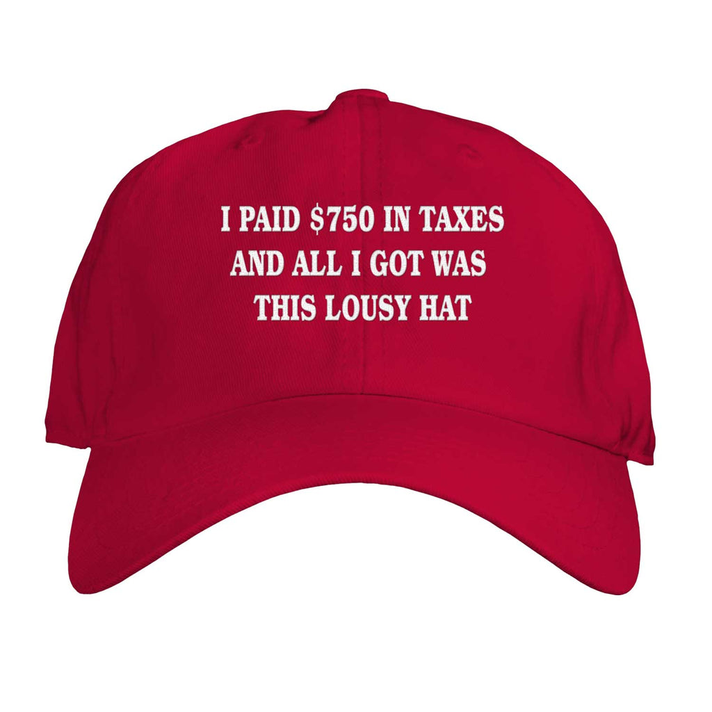 Function - I Paid $750 Dollars in Taxes and All I Got Was This Lousy Dad Hat