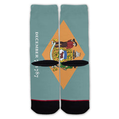 Function - Delaware State Flag Fashion Socks