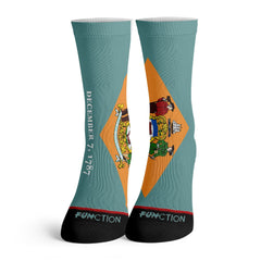 Function - Delaware State Flag Fashion Socks
