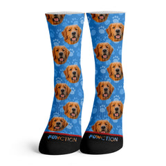 Function - Golden Retriever Dog Face Fashion Socks