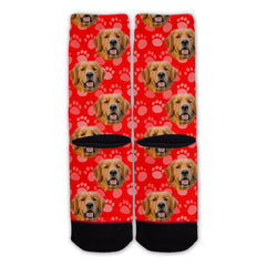 Function - Golden Retriever Dog Face Fashion Socks