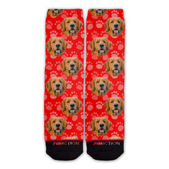 Function - Golden Retriever Dog Face Fashion Socks