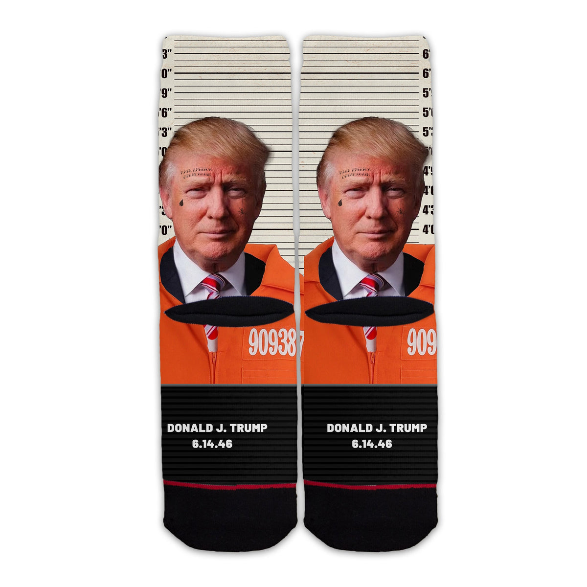Function - Donald Trump Mug Shot Arrest Story Indictment Felony Jail P ...