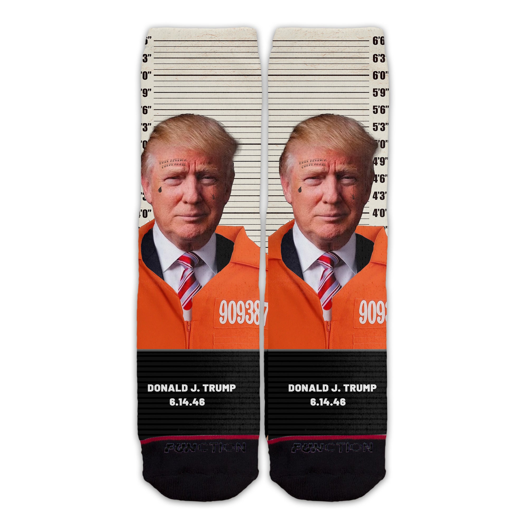 Function - Donald Trump Mug Shot Arrest Story Indictment Felony Jail P ...